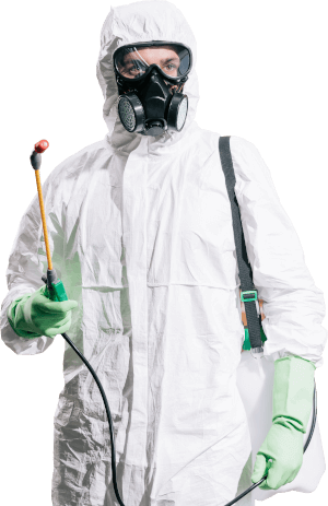 Best Pest Control Dubai | Best Cleaning Service In Dubai