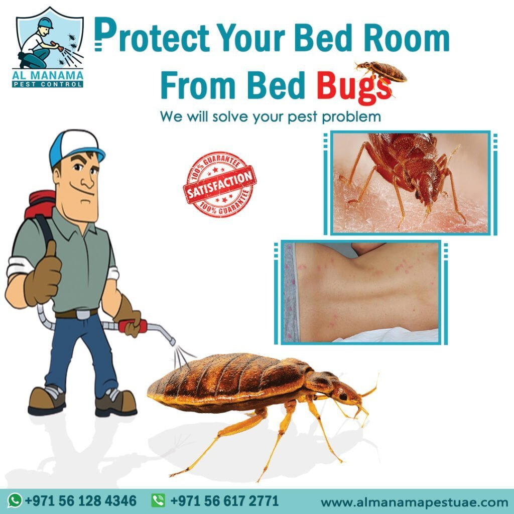 Protect your home from bed bugs